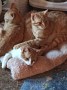 Spot_Co (1)